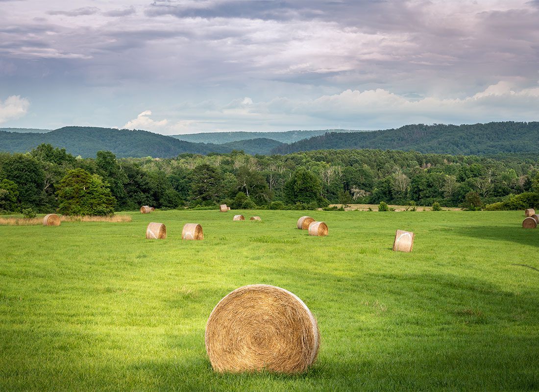 Contact - View of an Open Field with Green Grass and Hay Bales on a Sunny Day with Views of the Mountains and Green Trees in the Background