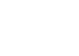 The Parnell Insurance Agency, Inc. - Logo 800 White